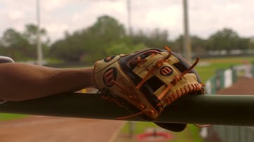 Wilson A2000 Jose Altuve Game Model 11.5" Baseball Glove