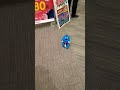 ムックよ...どこへ行く?ガチャピンは一緒じゃないのか?