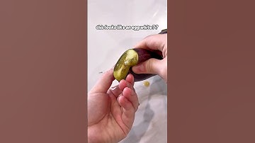 Why this called an eggplant?? @yousuckatcooking #shorts