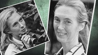 Renowned scientist Jane Goodall dies at 91