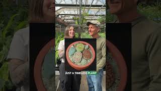 Plants for each Generation! (Part 2)