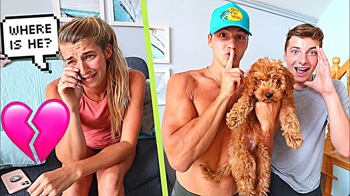 OUR PUPPY IS MISSING! *PRANK ON FIANCE*