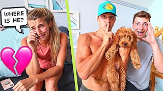 OUR PUPPY IS MISSING! *PRANK ON FIANCE*