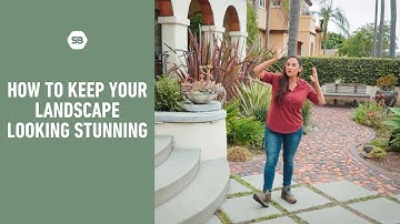 How to Keep Your Professional Landscaping Investment Looking Stunning