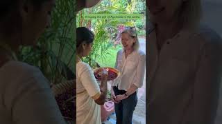 Kairali – The Ayurvedic Healing Village | India's Premier Wellness Retreat in Kerala