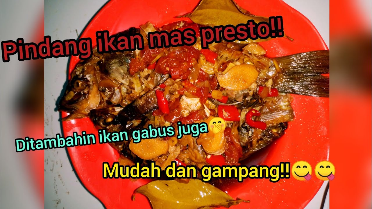 Gampang!!! Cara memasak Pindang ikan mas & gabus presto