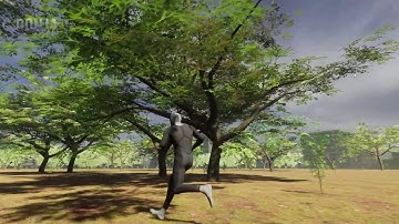 PD - Vegetation Test with Unity and TVE