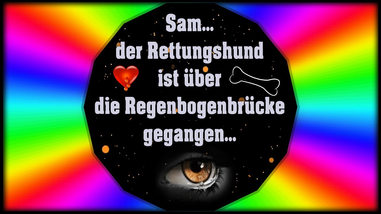 Die Regenbogenbrücke Memory Video für verstorbene Tiere