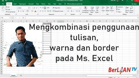 Mengkombinasi Penggunaan Tulisan, Warna & Border pada Ms. Excel - TIK Kelas 5 SD | BerLIAN School