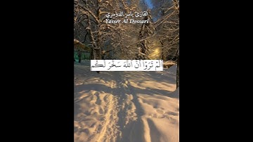 ألم تروا أن الله سخر لكم ما في السماوات وما في الأرض. ماتيسر من سورة لقمان بصوت الشيخ ياسر الدوسري.