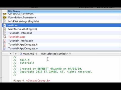 Introduction to xcode window