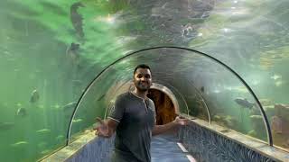 Going inside India's LARGEST Aquarium which has Sharks | This is just like Dubai