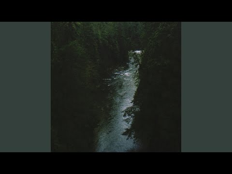 Nuevas Canciones