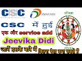 Hindicsc     service addjeevika didi   serviceby net solution