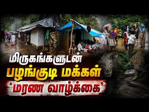 இத்துப்போன சேலை, கிழிந்த தார்பாலின் விரிப்பு குடிசைக்குள் முடங்கும் பரிதாபம் Tribals Nilgiris