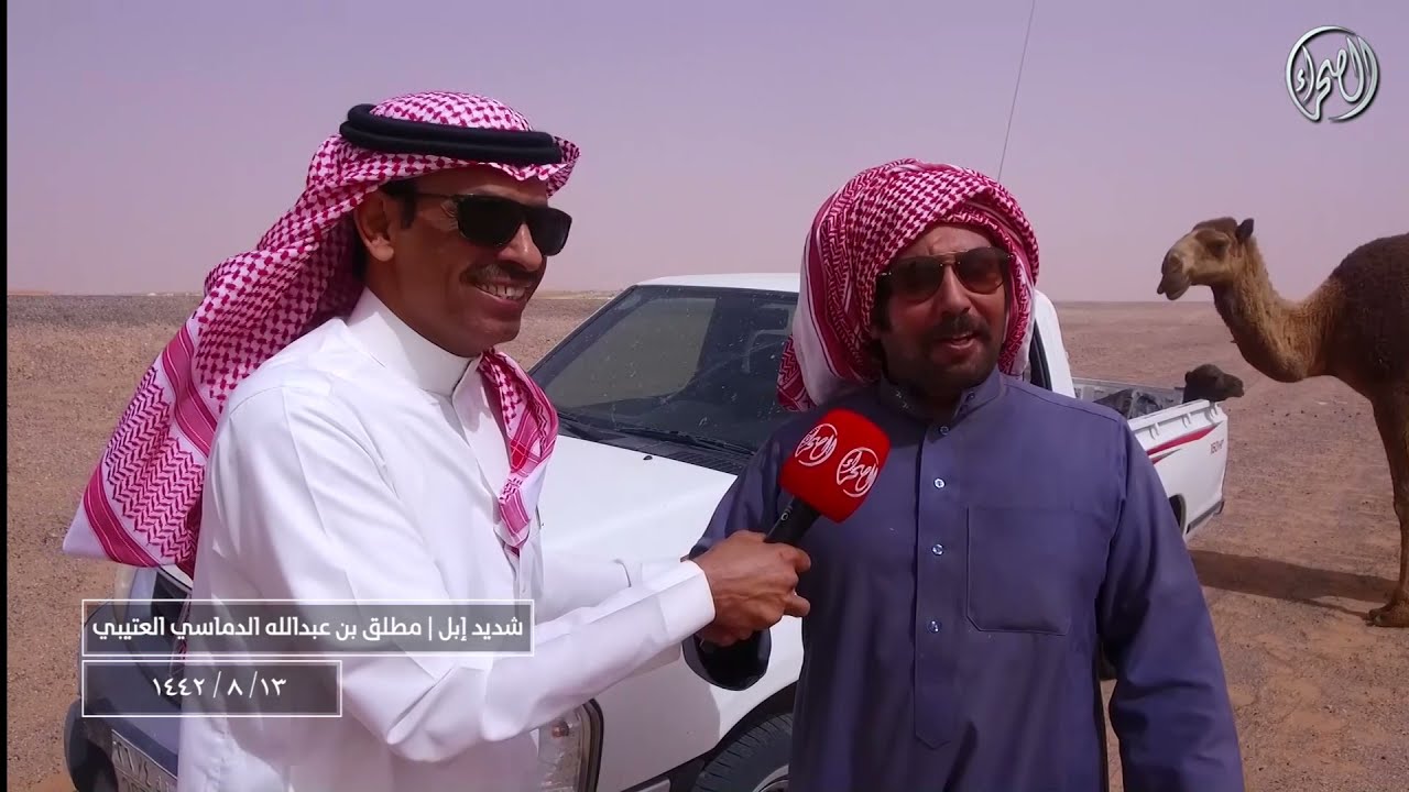 برنامج شديد اهل الابل | مع مالك الإبل/ مطلق بن عبدالله الدماسي العتيبي 13- 8 - 1442