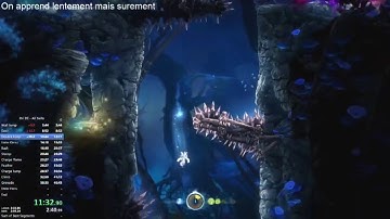 Ori DE - Speedrun in 50:12 - First run (All Skills No OOB/TA)