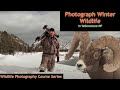 Winter Photography in Yellowstone Part 1 Wild Photo Adventures