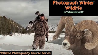 Winter Photography in Yellowstone Part 1 Wild Photo Adventures
