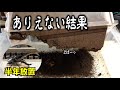 半年放置したカブトムシの産卵ケースからあり得ないものが大量に出てきた（くろねこチャンネル）