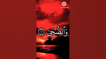 سورة الضحى #قران_كريم #سورة_البقرة #سورة_الضحى #سورة #تلاوة #تلاوات #قرآن #سورة_الكهف #سورة_يوسف