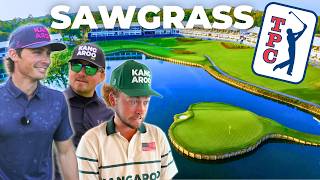 Kangaroo Golf plays TPC Sawgrass