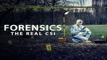 Forensics: The Real CSI [UK] [S01E02] #crimenews #crimestory #murdermystery #newepisode #robbery