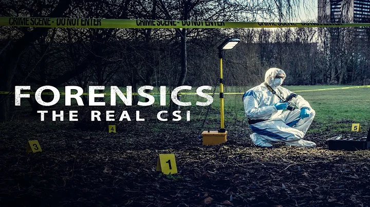 Forensics: The Real CSI [UK] [S01E02] #crimenews #crimestory #murdermystery #newepisode #robbery