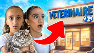 On Sauve Leao ? Si On Y Arrive Pas, On Lemmène Chez Le Vétérinaire