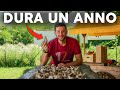 Quando e come RACCOGLIERE L’AGLIO