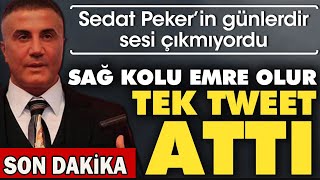 Sedat Pekerin Günlerdir Sesi Çıkmıyordu. Sessizliğini Bozdu, Kime Mesaj Yolladı