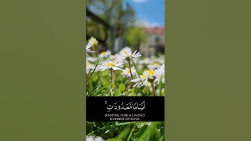 القران الكريم بصوت احمد النفيس#القرآن_الكريم #تلاوة_خاشعة