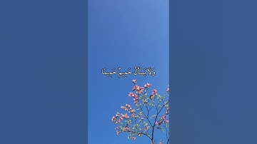 فَٱصۡبِرۡ صَبۡرٗا جَمِيلًا سورة المعارج من اية 5 إلى اية 14 بصوت القارئ ماهر المعيقلي