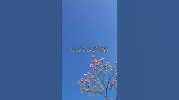 فَٱصۡبِرۡ صَبۡرٗا جَمِيلًا سورة المعارج من اية 5 إلى اية 14 بصوت القارئ ماهر المعيقلي