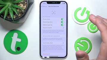 How to Enable/Disable Face ID Verification for Wallet & ApplePay on iPhone?