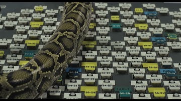 Hot Docs 2022 Trailer:  BURIAL