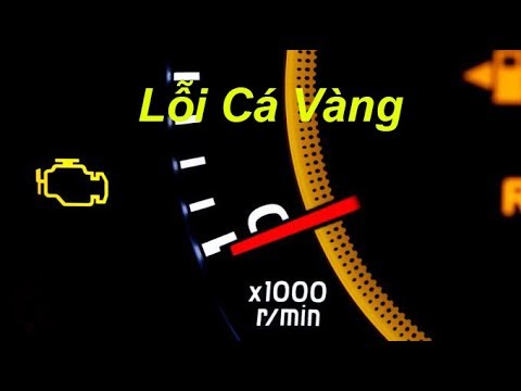 Video Lỗi cá vàng xe ô tô kia, đèn báo lỗi cá vàng, nguyên... - youtube
