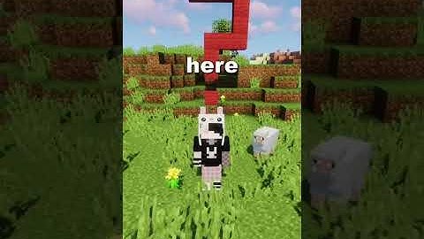 The hardest question || #minecraft || #shorts