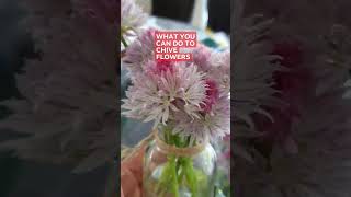uses of chive blossoms | uses for chive flowers | what can you use chive blossoms for #chiveblossoms