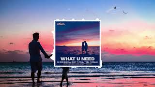 Dj Combo, Sander 7, Tony T, Dj Nicolas - What U Need (Max Farenthide X Disco Superstars Remix)