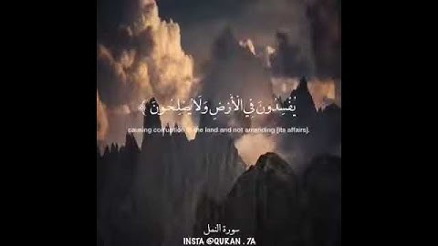 آيات يتلوها مزمار من مزامير آل داود اسلام صبحي