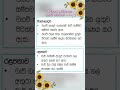 8 වසර ඉතිහාසය කෙටි සටහන් #studywell #notetaking day 5 🤩🤩 short notes 💖 #learnwithnotes