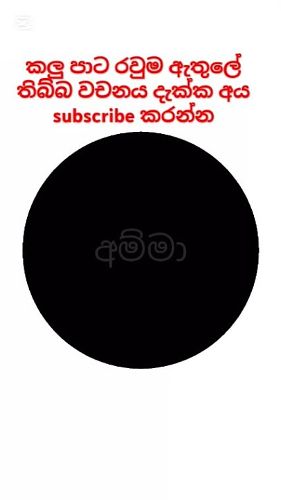 වවනෙ දැක්ක  අය comment එකක් දාන්න ♥️🥰😍😍😉# #song #dj #dance #music #trending #trending #viralvideos