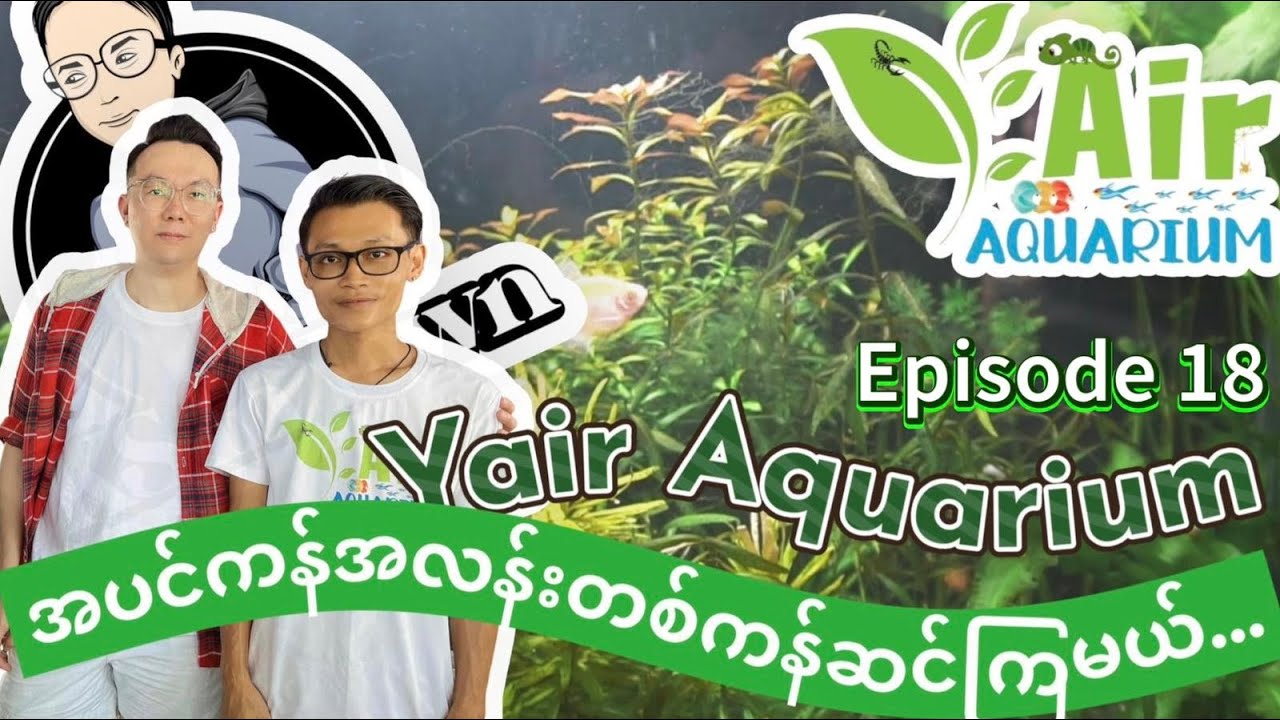 EP18: Yair Aquarium