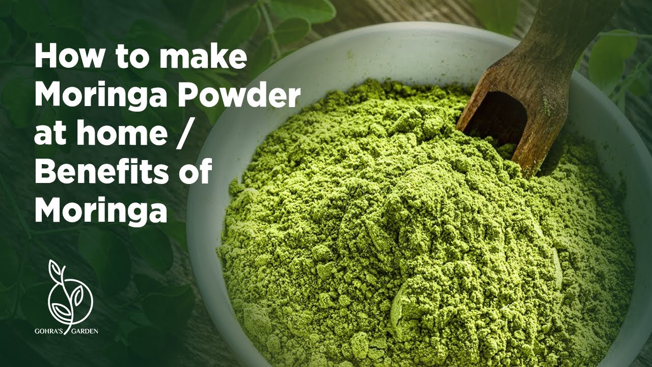 How Do You Make Moringa Powder How to make Moringa Powder at home/ Benefits - YouTube