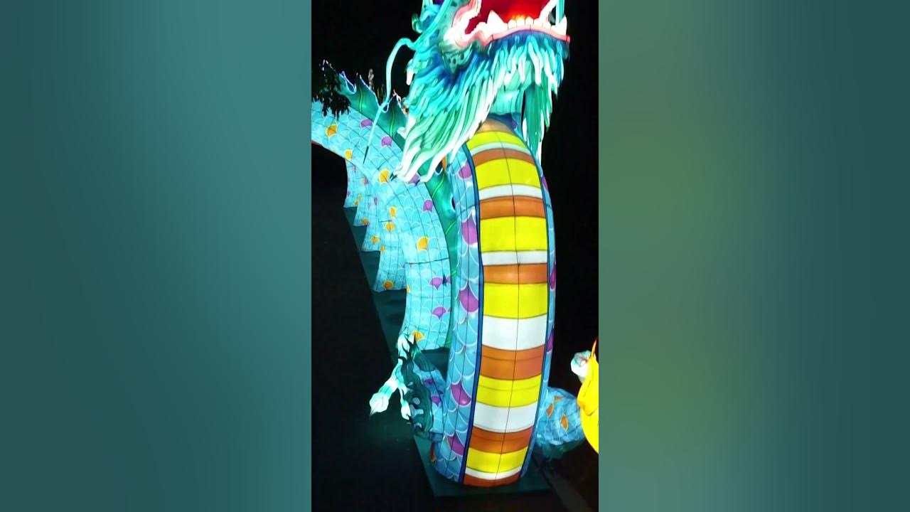 Boston Lights 2023 at Franklin Park Zoo YouTube