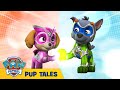 🐶 Mighty Pups, Charged Up: Pups Stop a Big Bad Bot | PAW Patrol | Cartoons for Kids