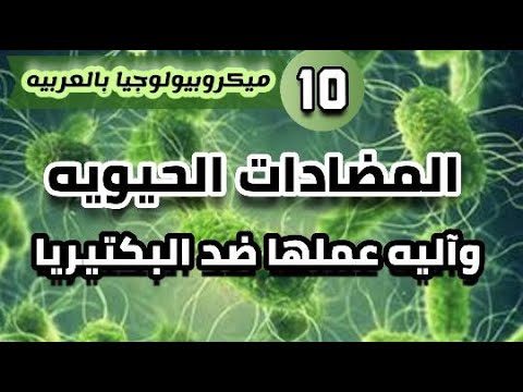 فيديو: ما هي الأدوية التي تعمل عن طريق تثبيط تخليق البروتين في البكتيريا؟