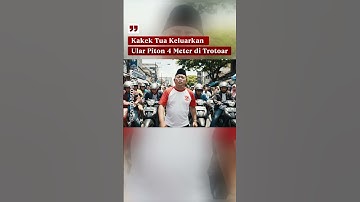 Kakek Tua Keluarkan Ular Piton 4 Meter di Trotoar #shortvideo #parody