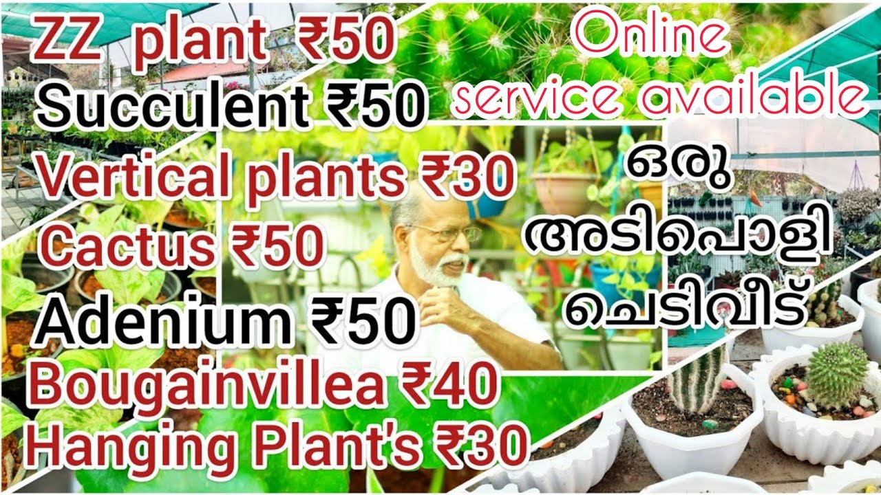 Garden tour in malayalam INDOOR PLANTS & FLOWERING PLANTS HOME